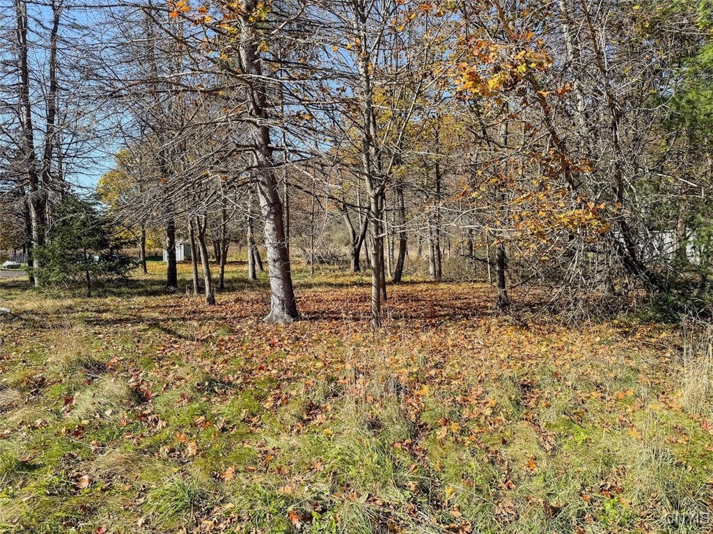 Olcott Road North Big Flats, NY 14814 - Photo 3 of 11