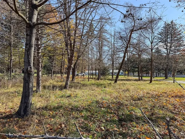 $29,900 | Olcott Road North, Big Flats, NY 14814