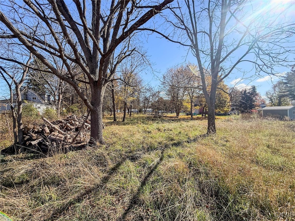 Olcott Road North Big Flats, NY 14814 - Photo 7 of 11