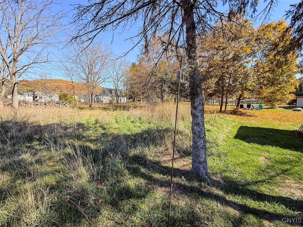 Olcott Road North Big Flats, NY 14814 - Photo 8 of 11