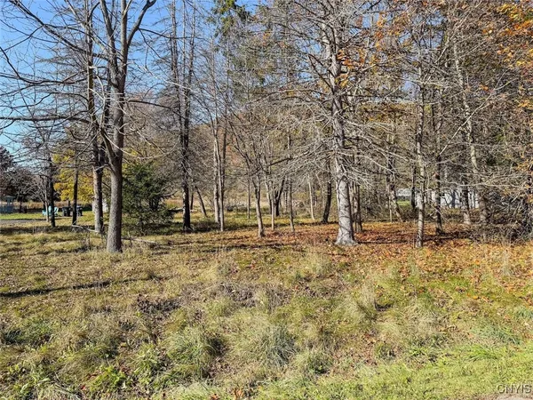 $27,900 | Olcott Road North, Big Flats, NY 14814