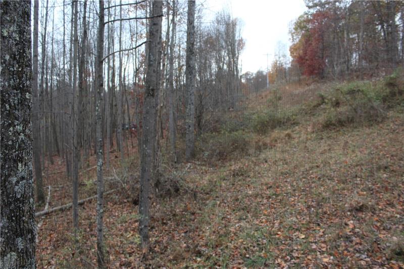 0 Bluff Ridge Road Waynesburg, PA 15370 - Photo 6 of 9
