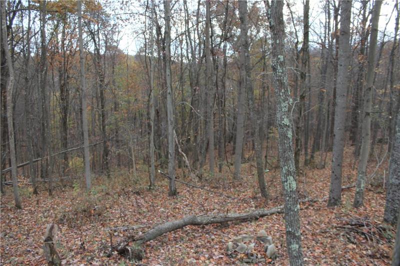 0 Bluff Ridge Road Waynesburg, PA 15370 - Photo 7 of 9