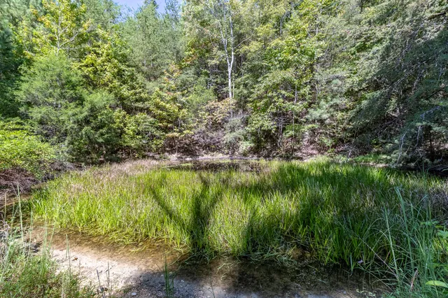 $850,000 | 13875 Rankin Avenue, Dunlap, TN 37327