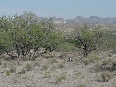 12403 West Arivaca Road, Unit B Amado, AZ 85645 - Photo 1 of 6