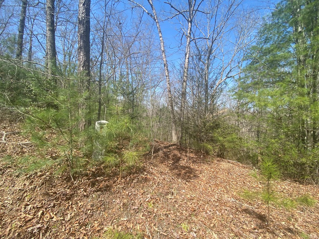 0 Hilltop Road Murphy, NC 28906 - Photo 14 of 16