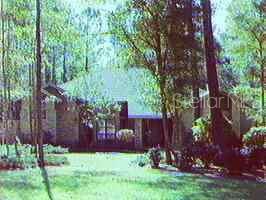 4431 Southwest 85th Way Gainesville, FL 32608 - Photo 1 of 1 a view of a backyard with potted plants and large trees