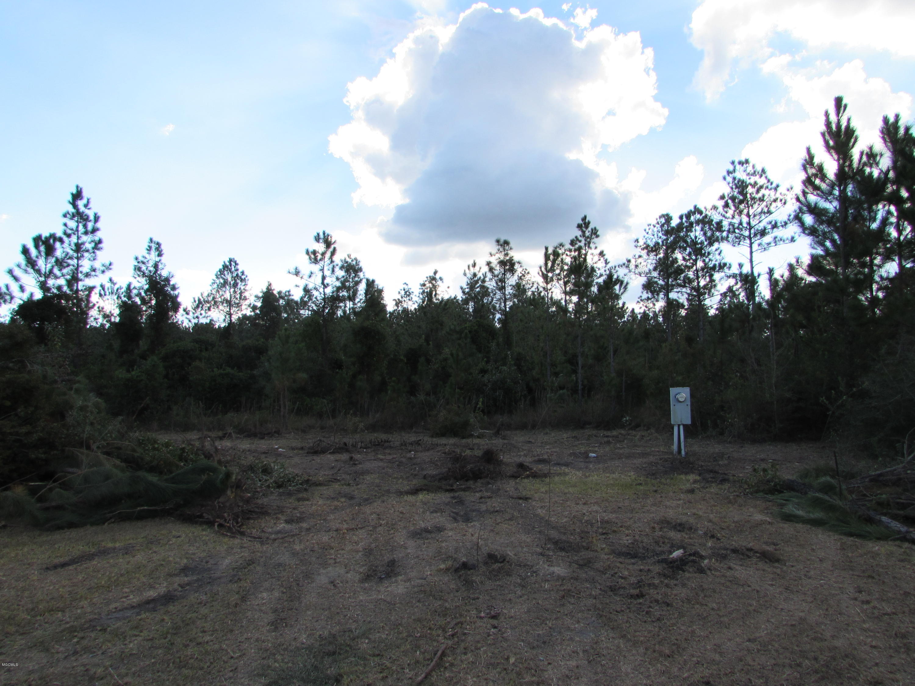 20095 Charred Road Saucier, MS 39574 - Photo 1 of 1 IMG_0776