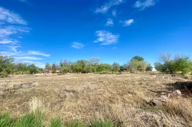 $175,000 | Tbd Globe Willow Drive, Clifton, CO 81520