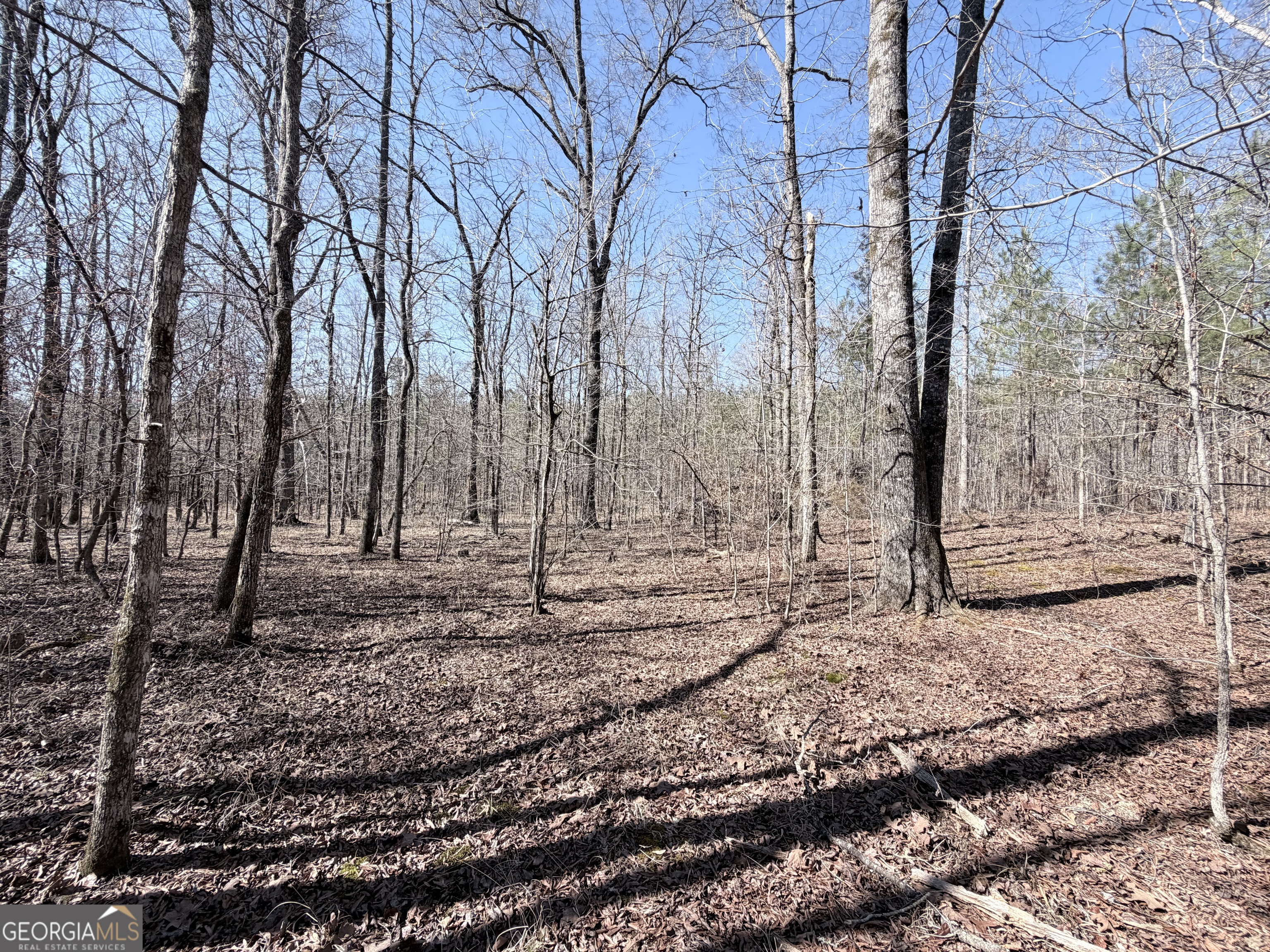 195 Margarets Grove Road Crawfordville, GA 30631 - Photo 19 of 34 a backyard of a house with lots of green space