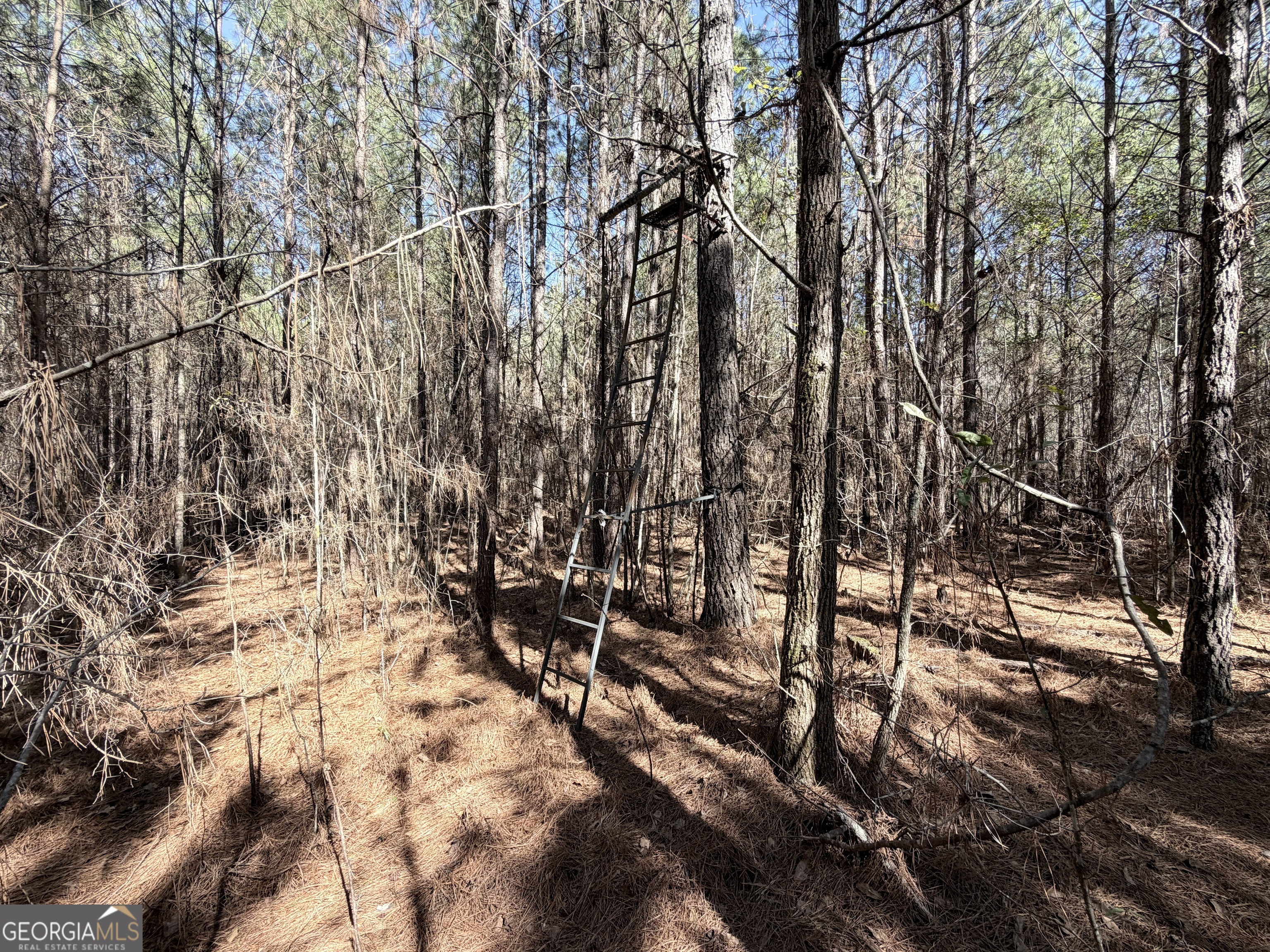 195 Margarets Grove Road Crawfordville, GA 30631 - Photo 22 of 34 a view of outdoor space