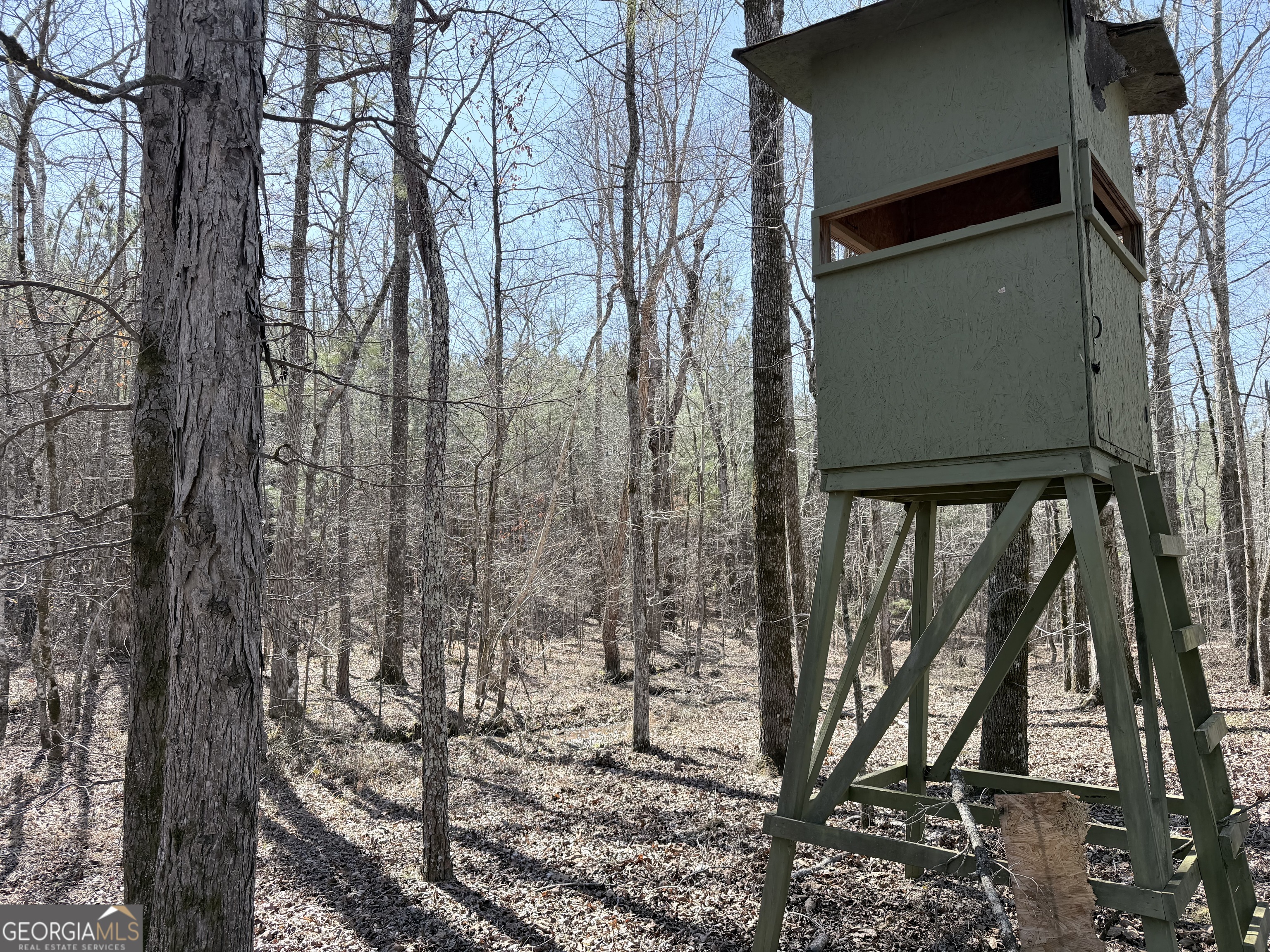 195 Margarets Grove Road Crawfordville, GA 30631 - Photo 24 of 34 a view of a house with a yard