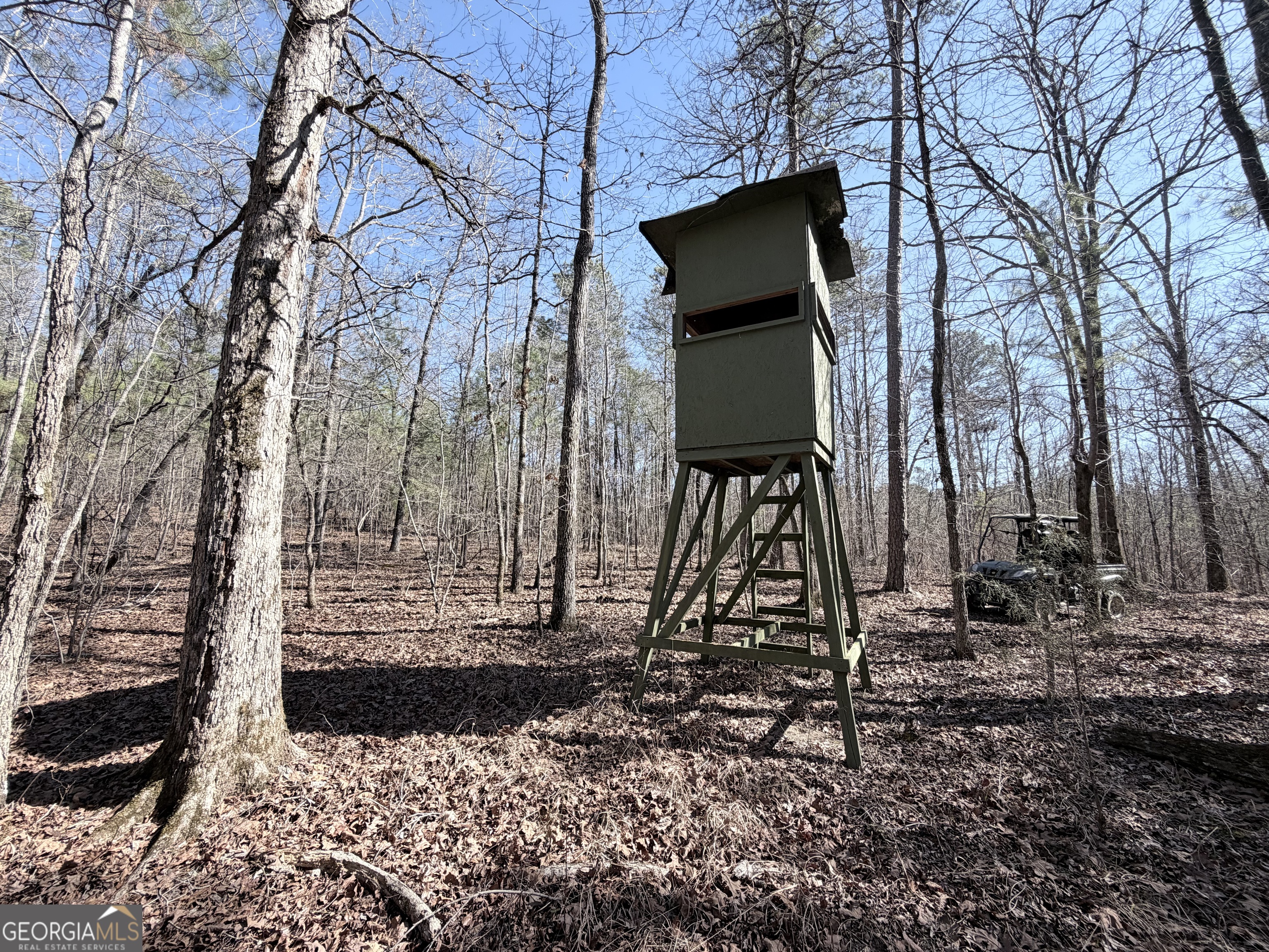 195 Margarets Grove Road Crawfordville, GA 30631 - Photo 25 of 34 a backyard of a house with lots of green space