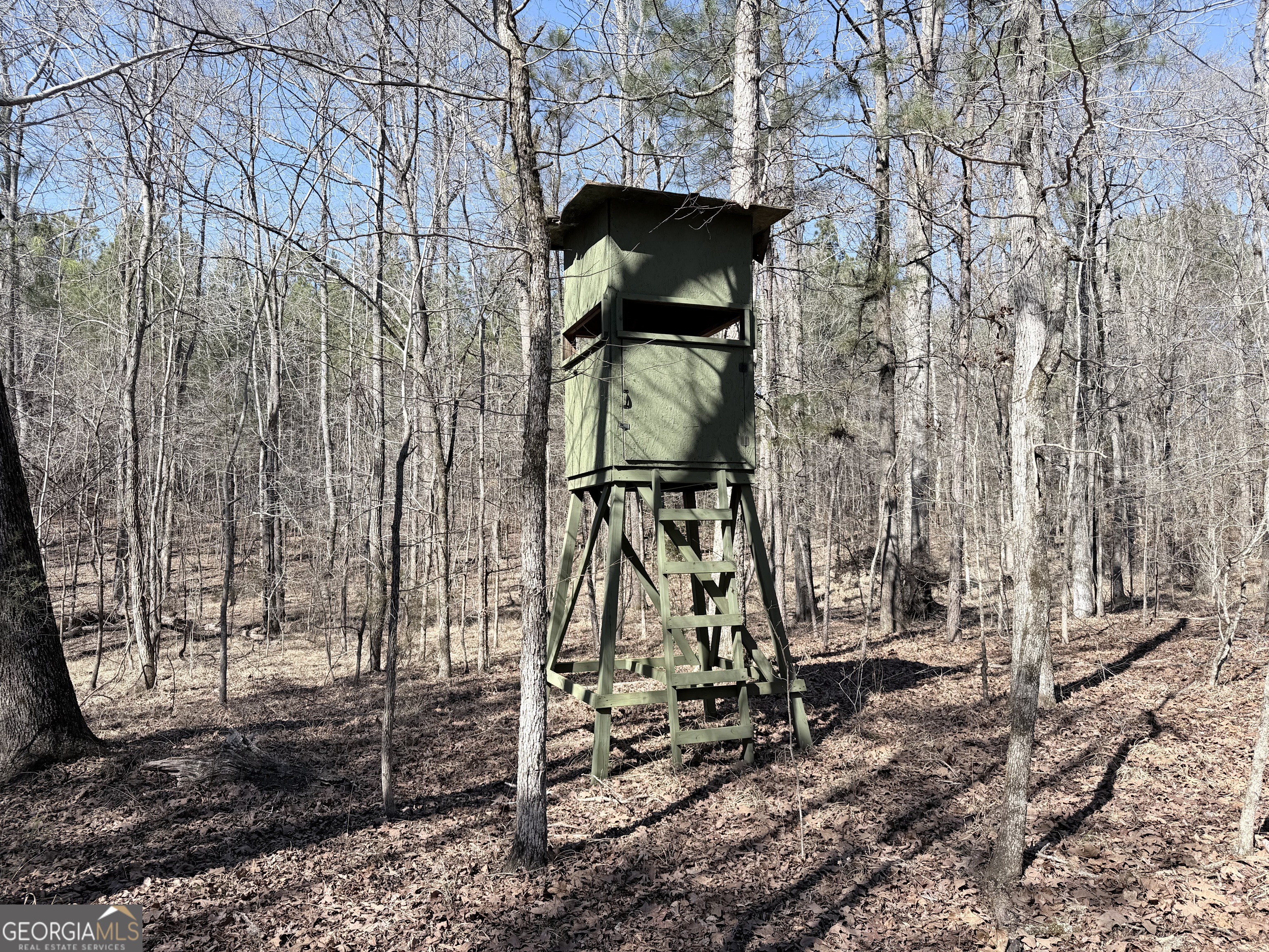 195 Margarets Grove Road Crawfordville, GA 30631 - Photo 26 of 34 a picture of street view
