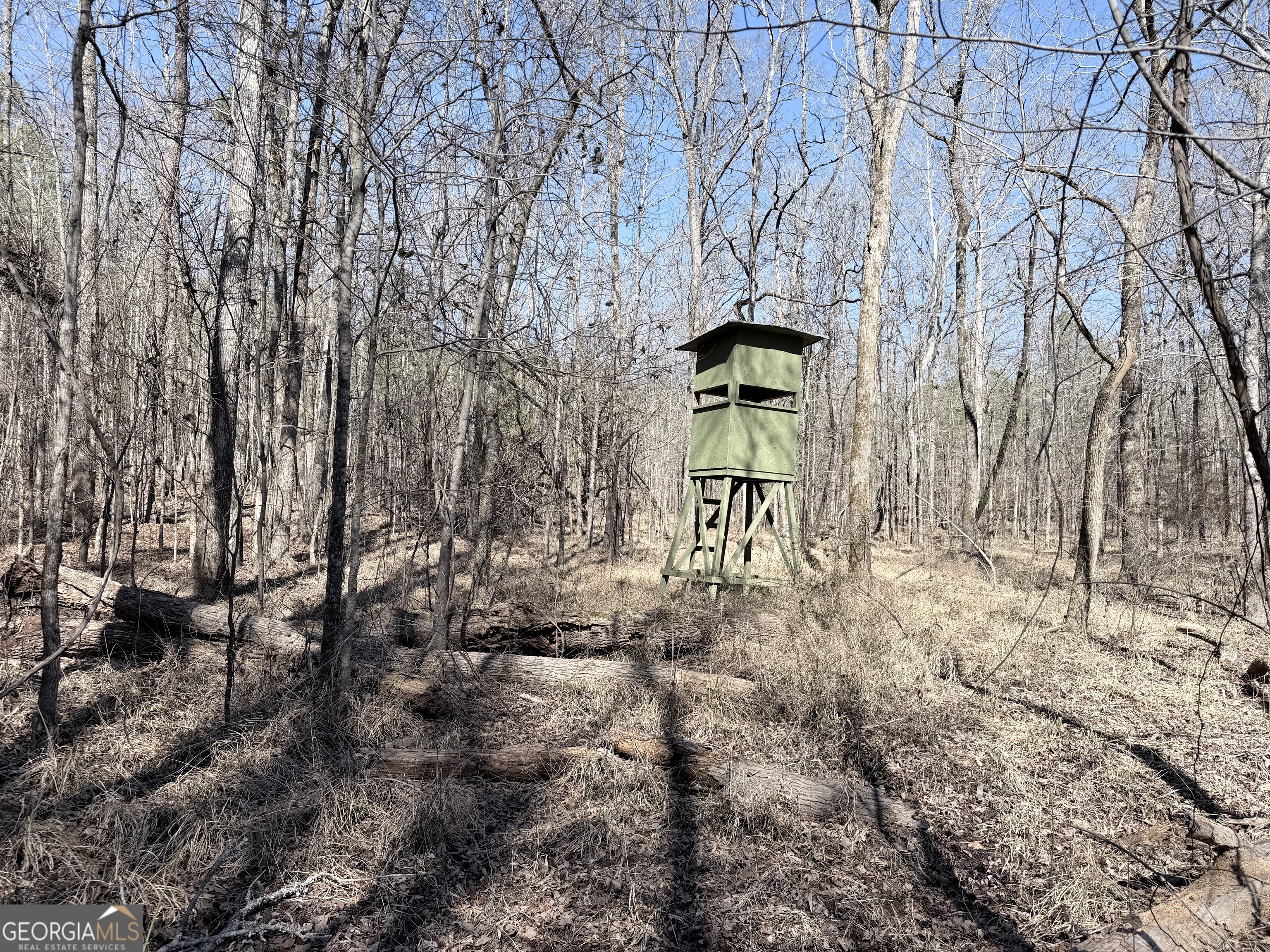 195 Margarets Grove Road Crawfordville, GA 30631 - Photo 27 of 34