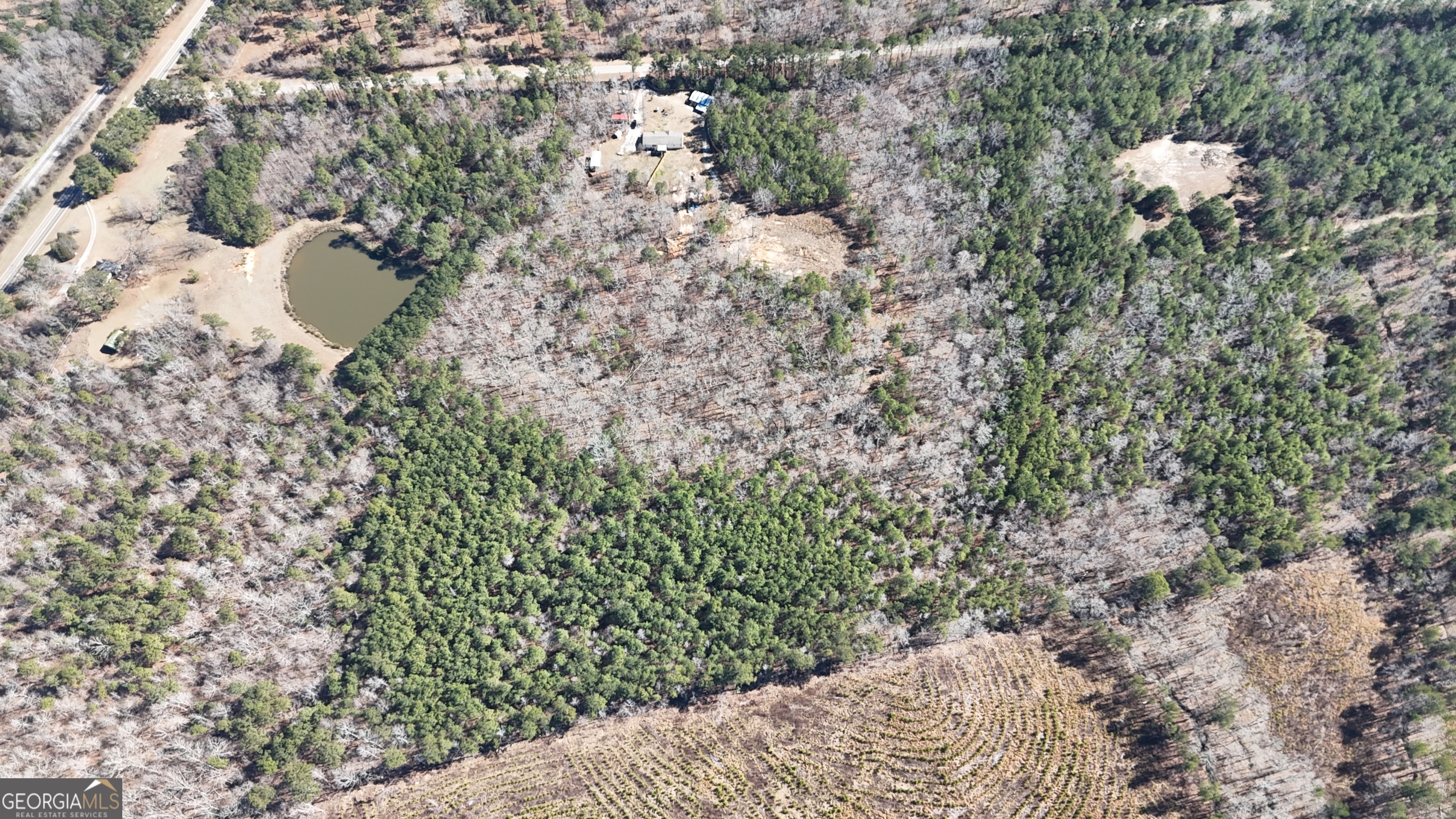 195 Margarets Grove Road Crawfordville, GA 30631 - Photo 32 of 34 a view of a tree in a yard