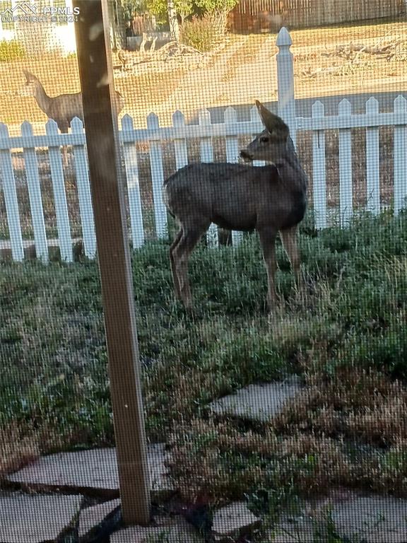 209 Indiana Avenue Walsenburg, CO 81089 - Photo 37 of 37 a backyard of a house with a yard and outdoor seating