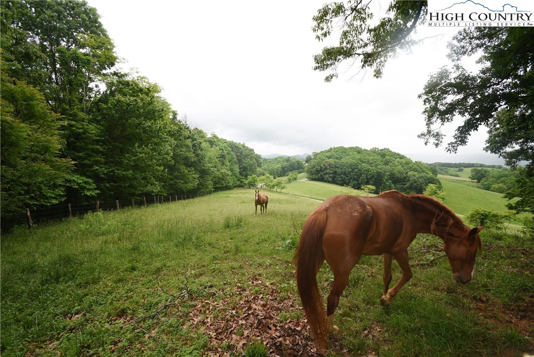 729 Graystone Road Independence, VA 24348 - Photo 43 of 50