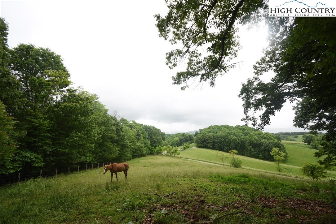 729 Graystone Road Independence, VA 24348 - Photo 44 of 50