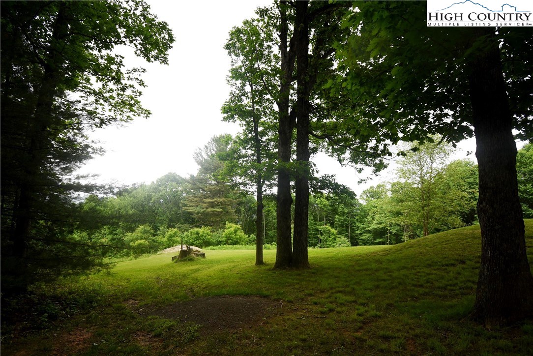 729 Graystone Road Independence, VA 24348 - Photo 48 of 50