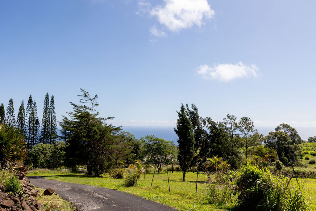 44-2527 Kalopa Mauka Road Honokaa, HI 96727 - Photo 2 of 29