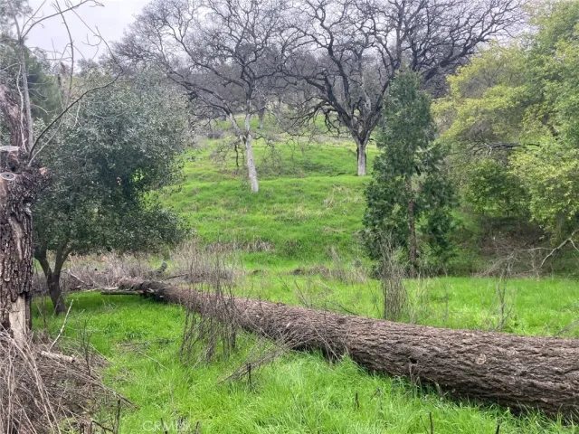 a view of backyard with green space