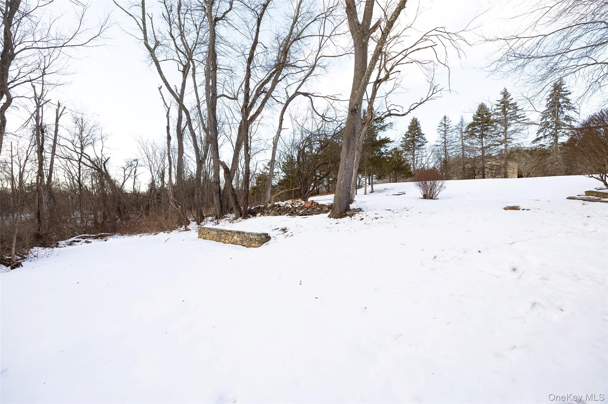 261 Freedom Road Pleasant Valley, NY 12569 - Photo 41 of 50 View of yard layered in snow