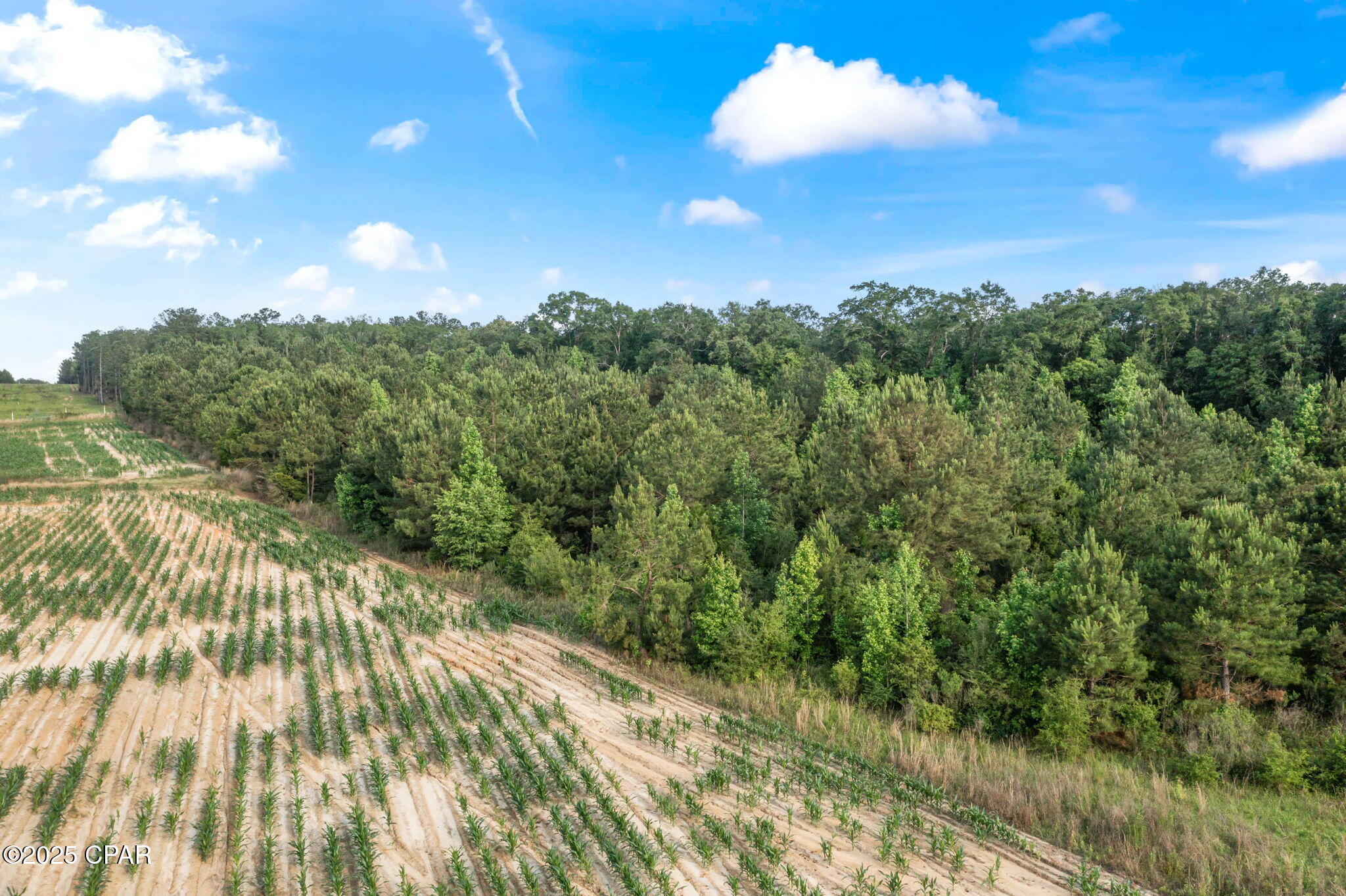 Xxx Owens Community Road Vernon, FL 32462 - Photo 11 of 20 Gallery Image 11