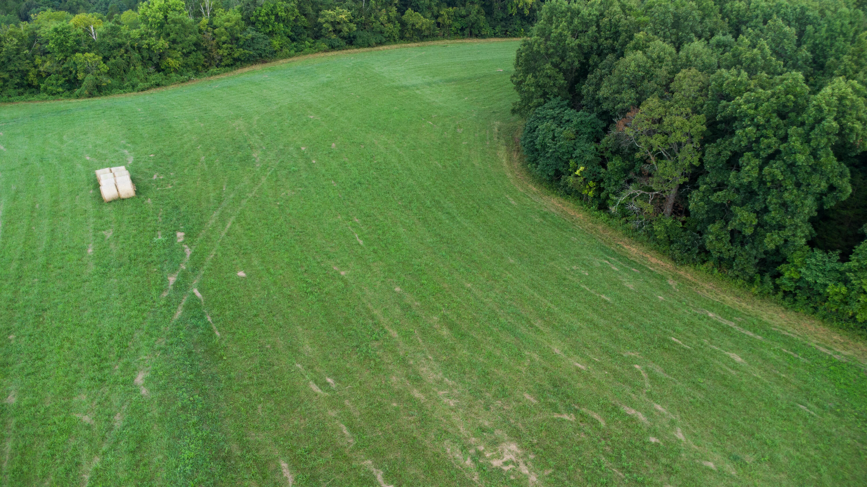 4095 Warsaw Road Dry Ridge, KY 41035 - Photo 21 of 48