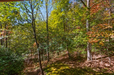 164 Beaver Ridge Road Murphy, NC 28906 - Photo 78 of 86 Gallery Image 78