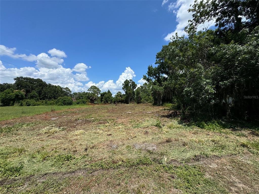 Cove Road Tavares, FL 32778 - Photo 16 of 16 a view of backyard with green space