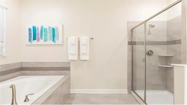 a bathroom with a bath tub and a shower