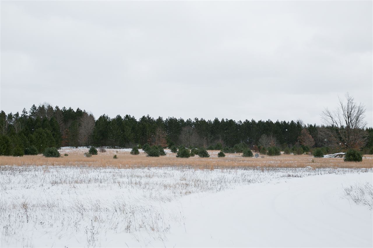 2441 Thomas Road Kalkaska, MI 49646 - Photo 30 of 49 1855213-29.JPG
