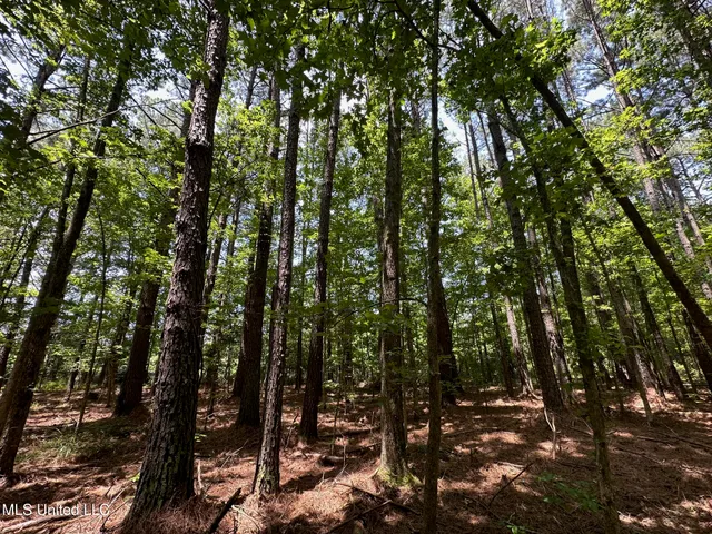 $110,000 | 4 County Road 444, Philadelphia, MS 39350