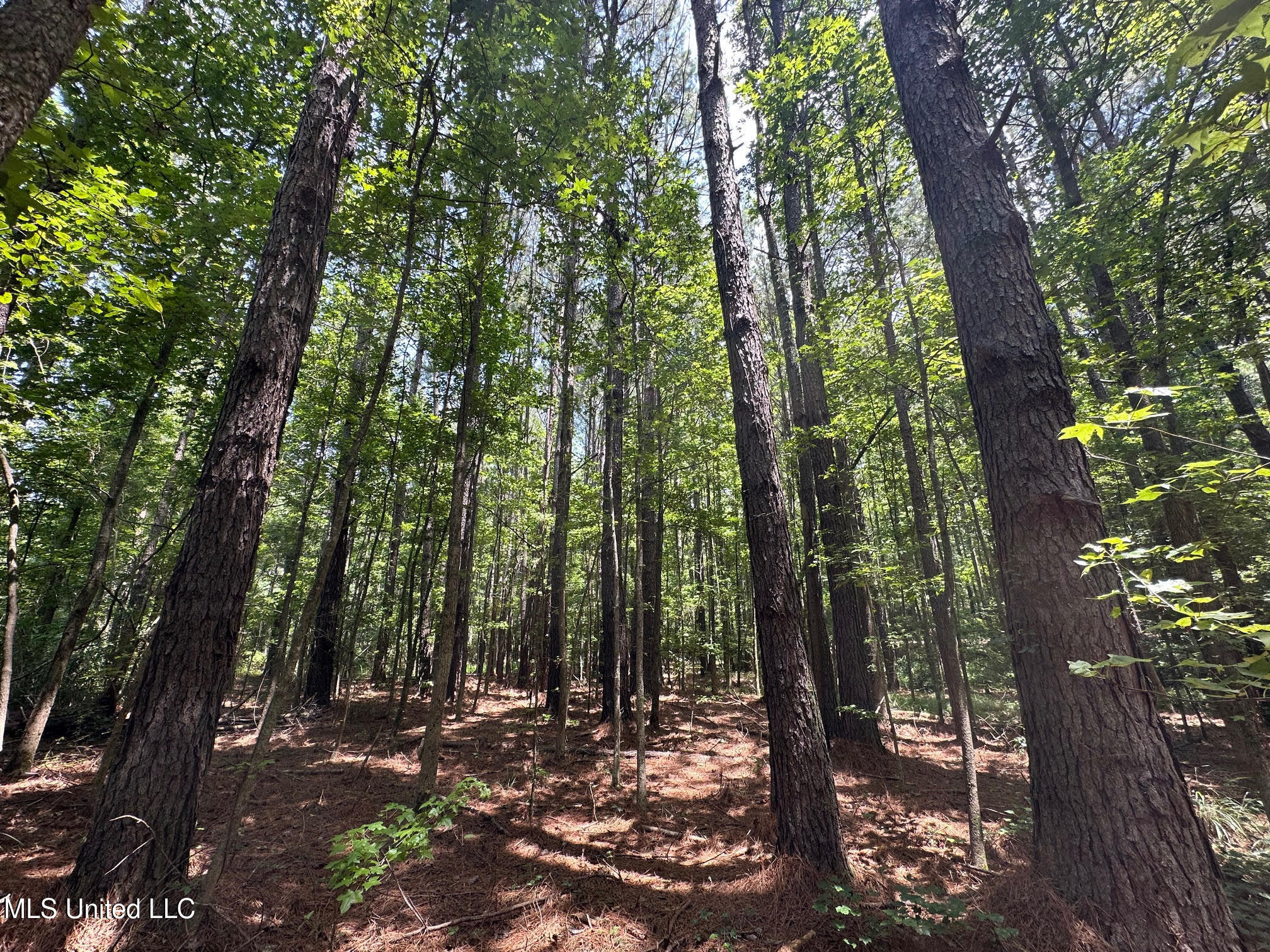 4 County Road 444 Philadelphia, MS 39350 - Photo 11 of 24 15