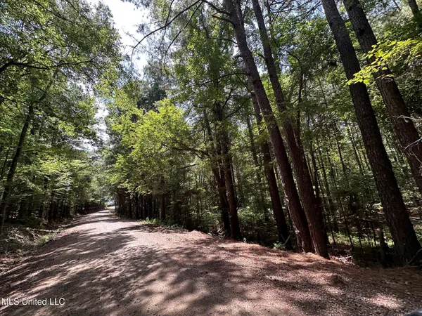 $110,000 | 4 County Road 444, Philadelphia, MS 39350