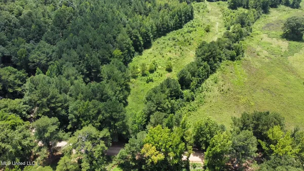 $110,000 | 4 County Road 444, Philadelphia, MS 39350