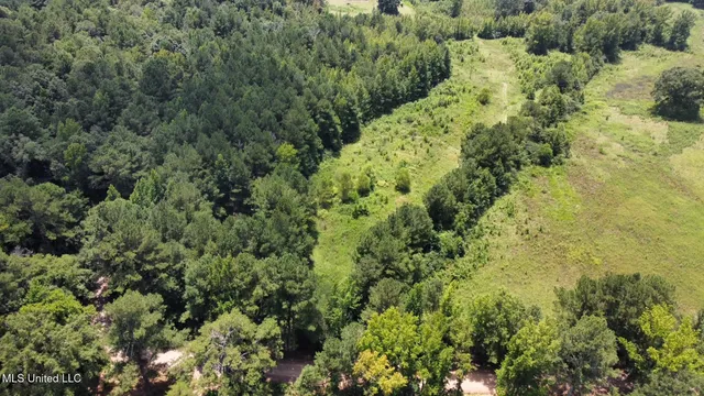 $110,000 | 4 County Road 444, Philadelphia, MS 39350