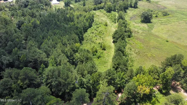 $110,000 | 4 County Road 444, Philadelphia, MS 39350