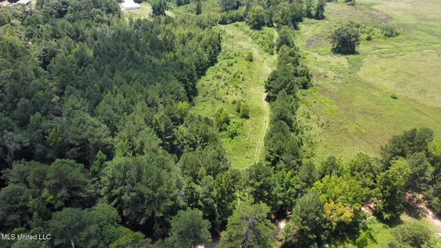 $110,000 | 4 County Road 444, Philadelphia, MS 39350