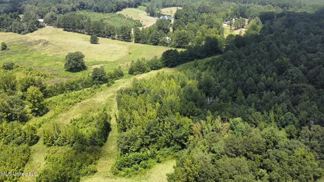 $110,000 | 4 County Road 444, Philadelphia, MS 39350