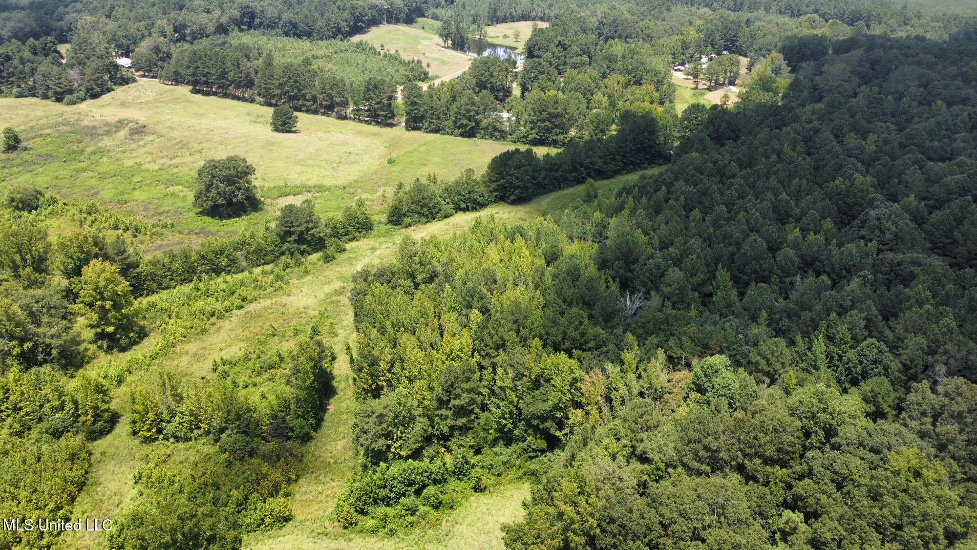 4 County Road 444 Philadelphia, MS 39350 - Photo 17 of 24 29