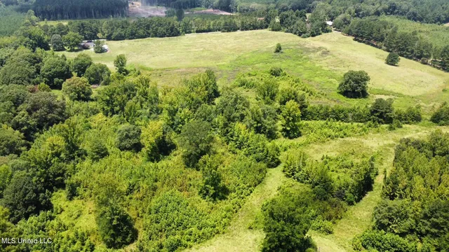 $110,000 | 4 County Road 444, Philadelphia, MS 39350