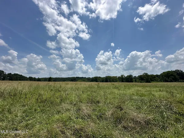 $110,000 | 4 County Road 444, Philadelphia, MS 39350