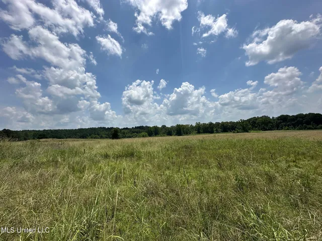 $110,000 | 4 County Road 444, Philadelphia, MS 39350