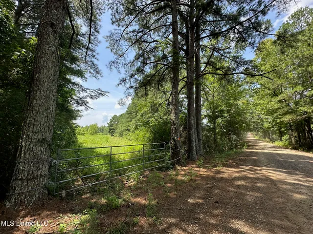 $110,000 | 4 County Road 444, Philadelphia, MS 39350