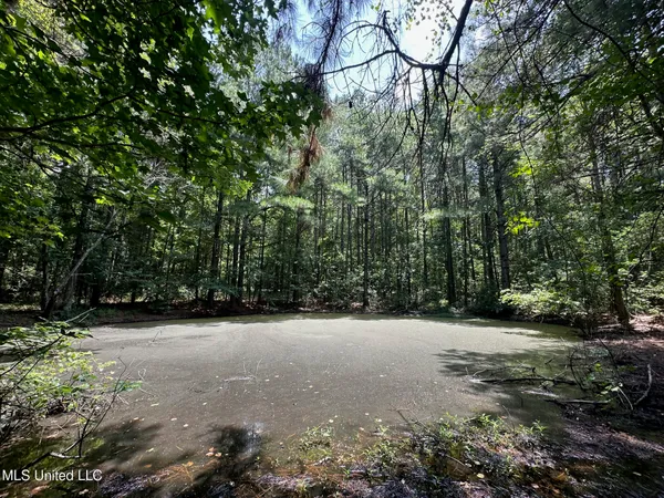 $110,000 | 4 County Road 444, Philadelphia, MS 39350