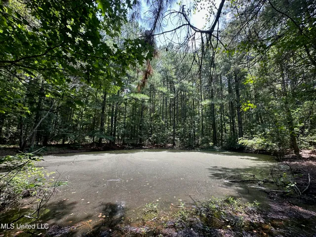 $110,000 | 4 County Road 444, Philadelphia, MS 39350