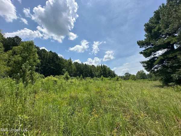 $110,000 | 4 County Road 444, Philadelphia, MS 39350