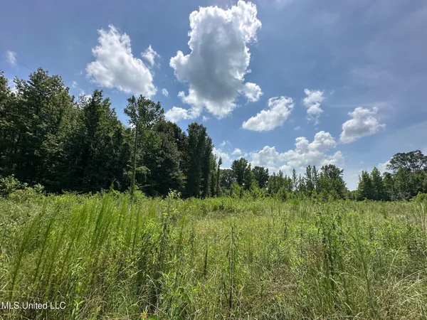 $110,000 | 4 County Road 444, Philadelphia, MS 39350